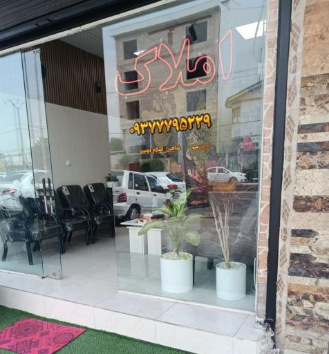 عکس شاهین ملک
