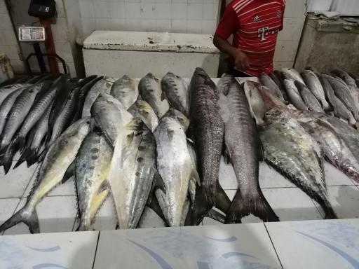 عکس ماهی فروشی (نور دریا)