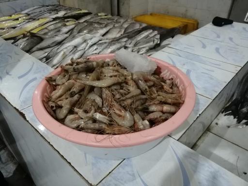 عکس ماهی فروشی (نور دریا)