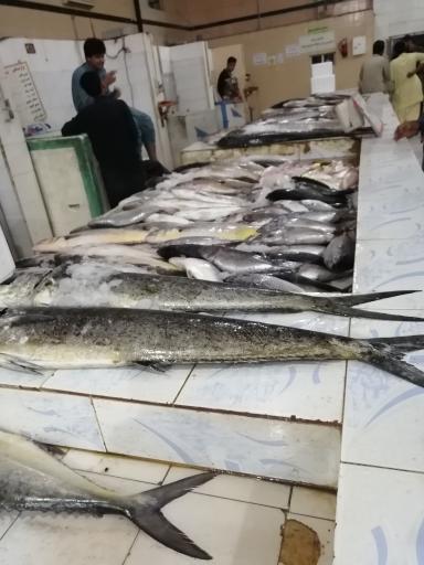 عکس ماهی فروشی (نور دریا)