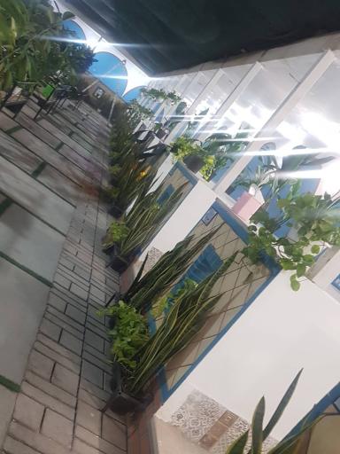 عکس سفره خانه تنور 