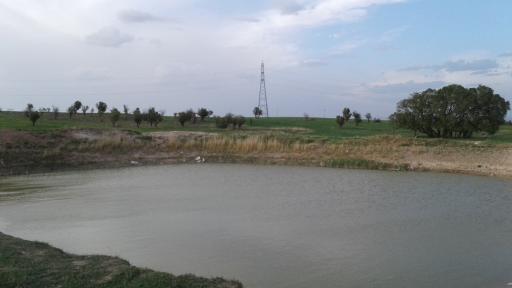 عکس سعید آباد