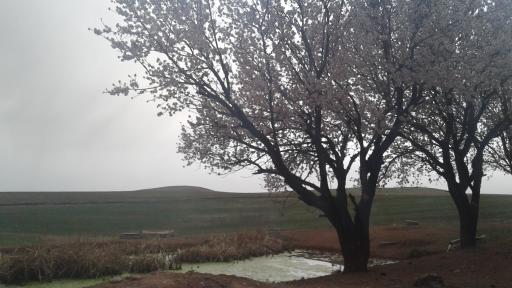 عکس سعید آباد