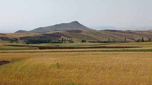 عکس سعید آباد