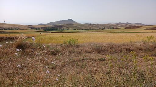 عکس سعید آباد