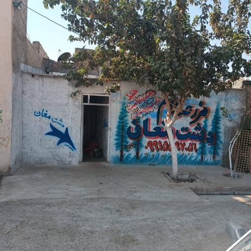 عکس مزرعه دام دشت مغان