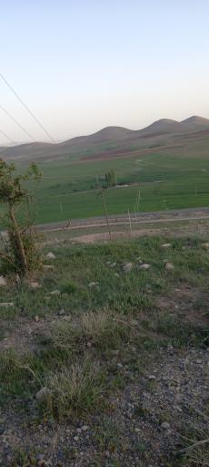 عکس سعید آباد