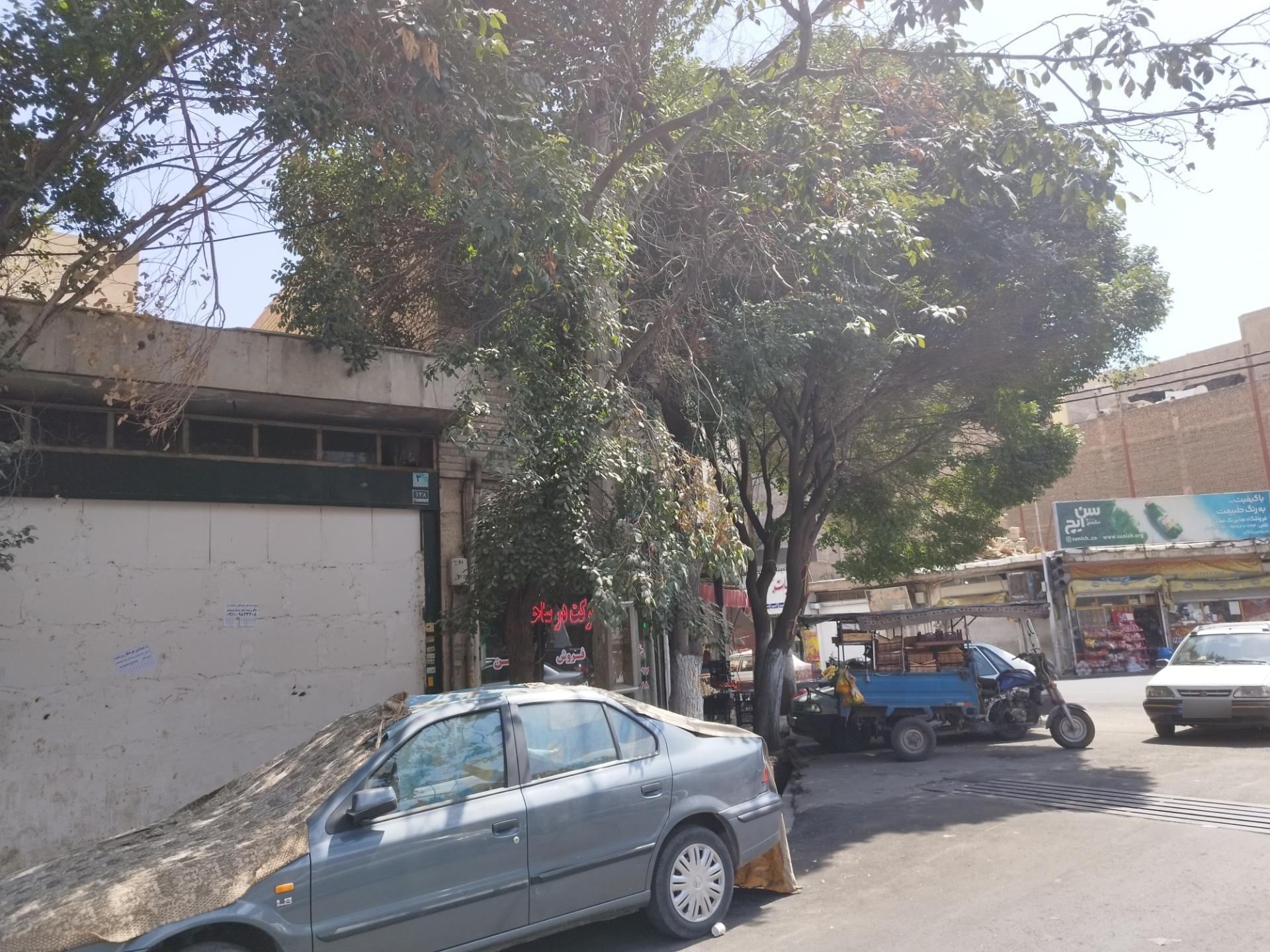 عکس مسکن صداقت