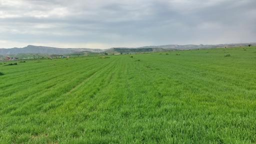 عکس شرکت دانش‌بنیان بذر پژوه امنیت