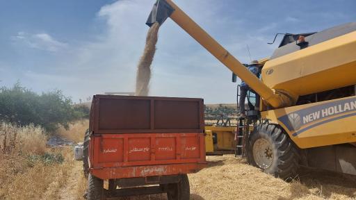 عکس شرکت دانش‌بنیان بذر پژوه امنیت