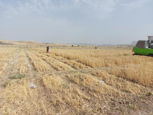 عکس شرکت دانش‌بنیان بذر پژوه امنیت