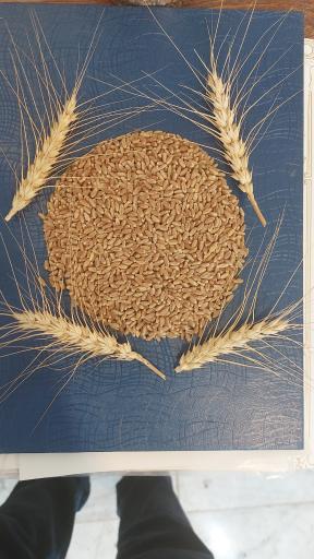 عکس شرکت دانش‌بنیان بذر پژوه امنیت