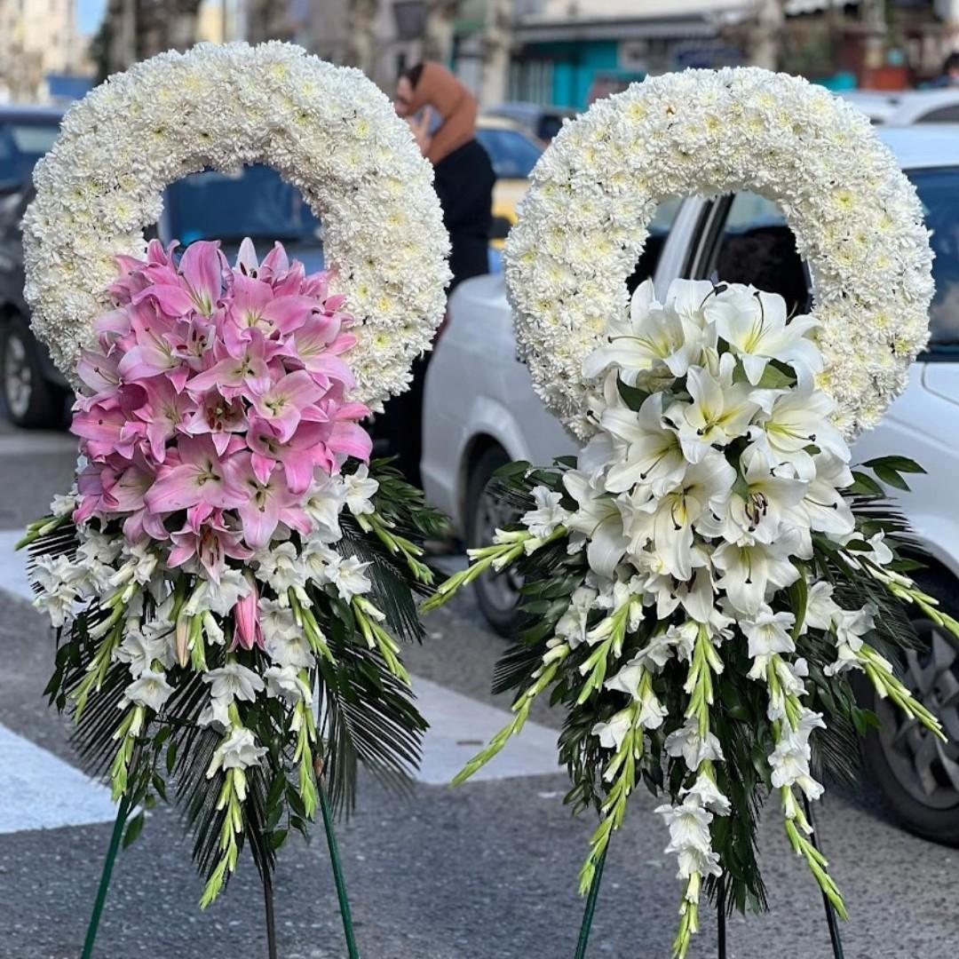 عکس گل اقاقیا