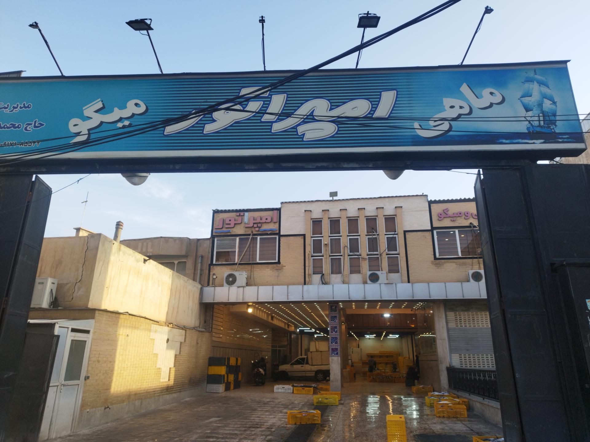 عکس ماهی و میگو امپراتور 