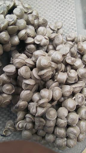 عکس گرانول عسکری