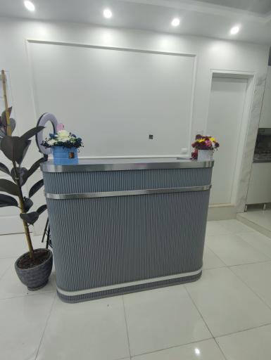 عکس سالن زیبایی منیژه محمدی