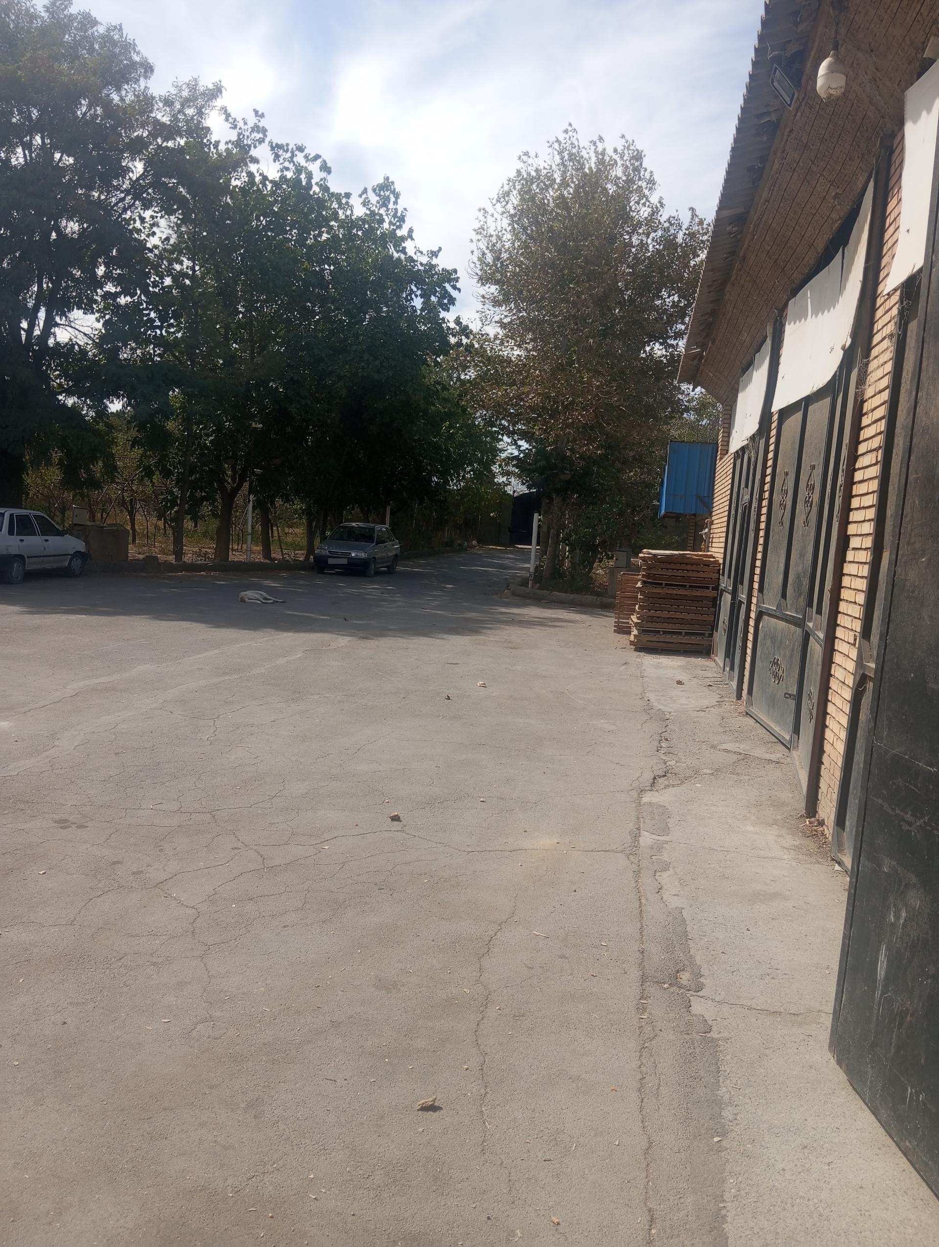 عکس مرغداری قائم