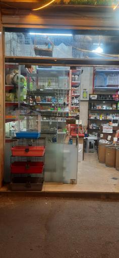 عکس دهکده قناری نارمک