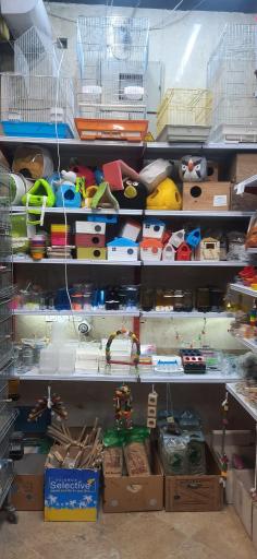 عکس دهکده قناری نارمک