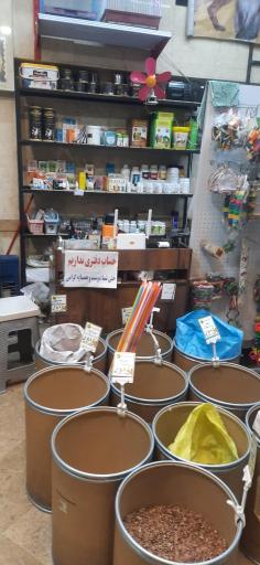 عکس دهکده قناری نارمک