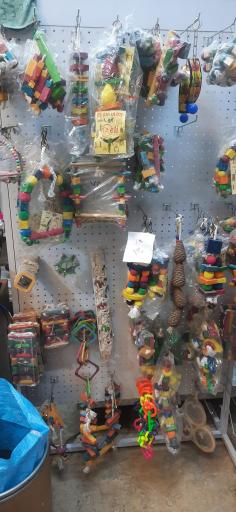 عکس دهکده قناری نارمک