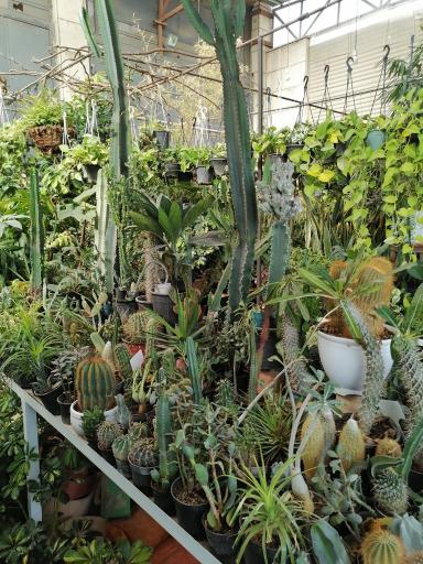 عکس گلخانه هیوا 