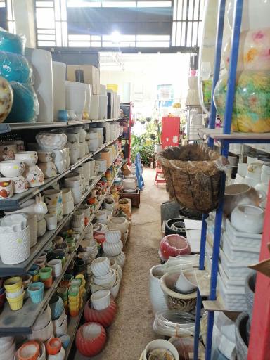 عکس گلخانه هیوا 