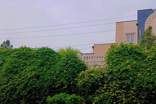 عکس لیلان