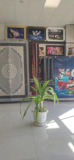 عکس تابلوفرش نارسیس