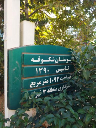 عکس پارک شکوفه