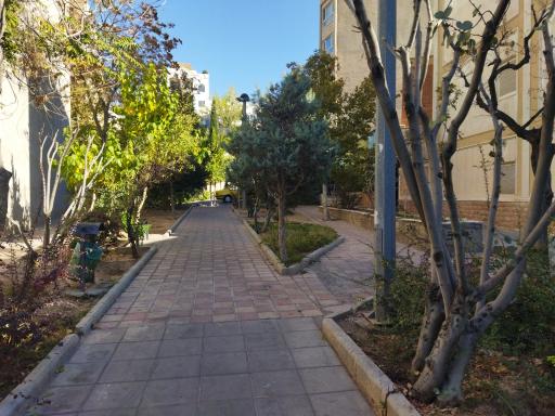 عکس پارک شکوفه