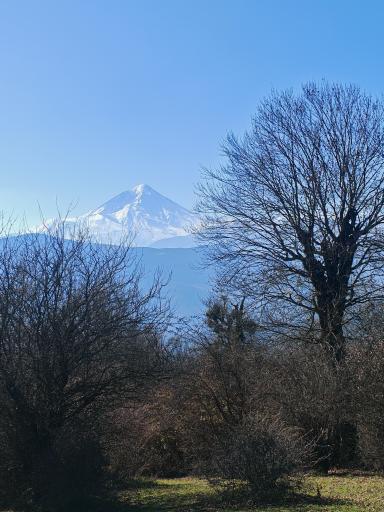 عکس دشت دوم الیمستان