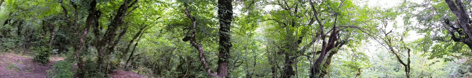 عکس دشت دوم الیمستان