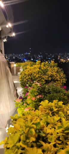 عکس کافه رستوران شار لانژ