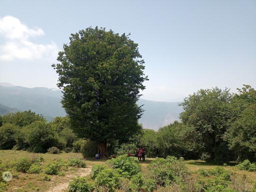 عکس دشت دوم الیمستان