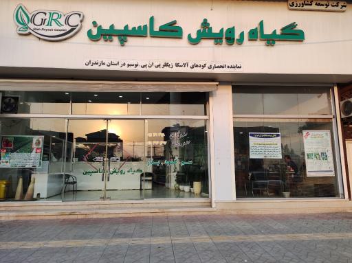 عکس شرکت گیاه رویش کاسپین 