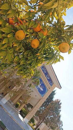 آتشکده زرتشتیان کرمان