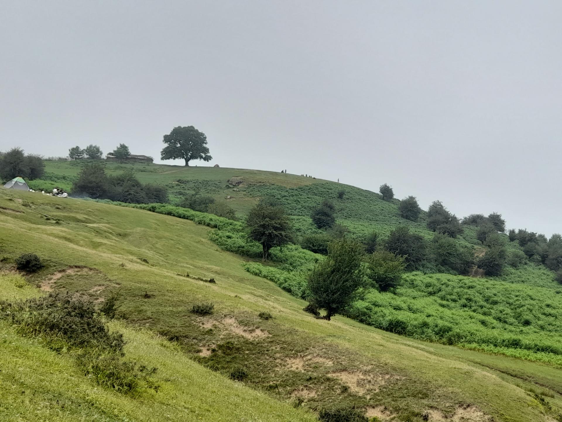 عکس تپه فرنی کلا
