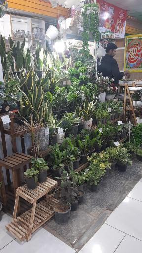 عکس فروشگاه جانبازان شعبه مرکزی