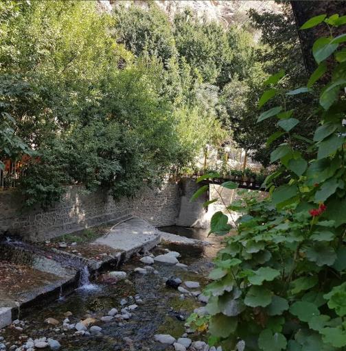 عکس رستوران گل صحرا