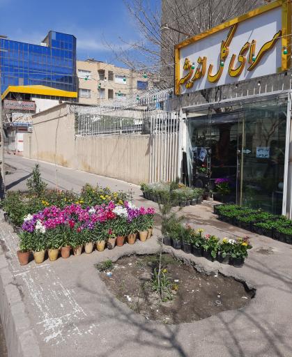 عکس سرای گل اندیشه