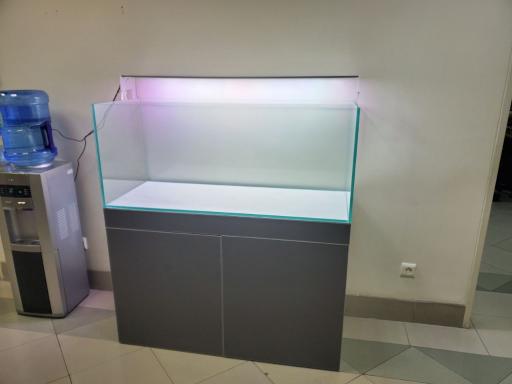 عکس تهران شریمپ