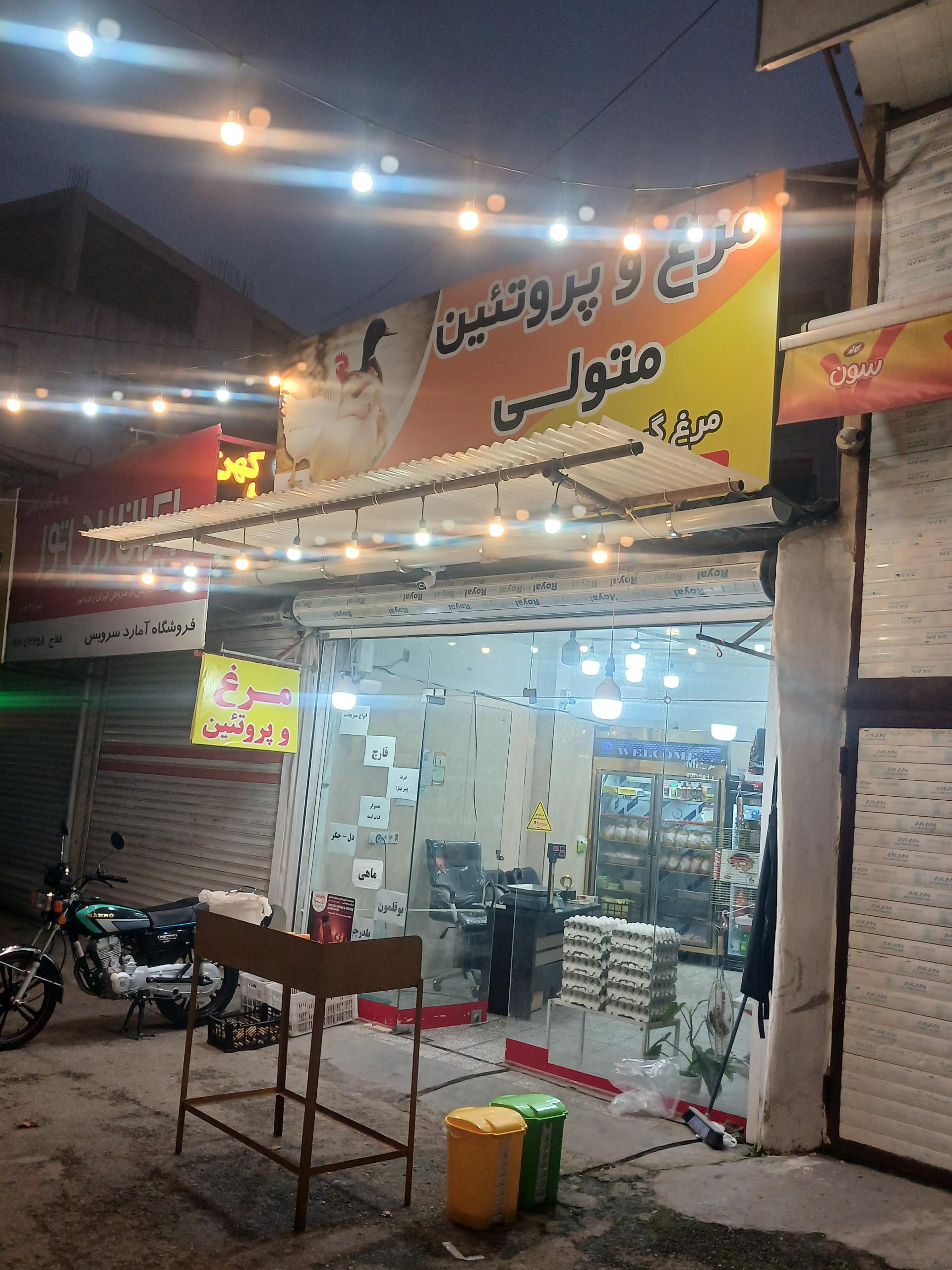 عکس مرغ و پروتئین  متولی 