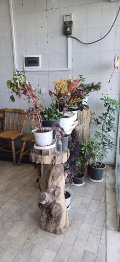 عکس رستوران شیراز پاچینی