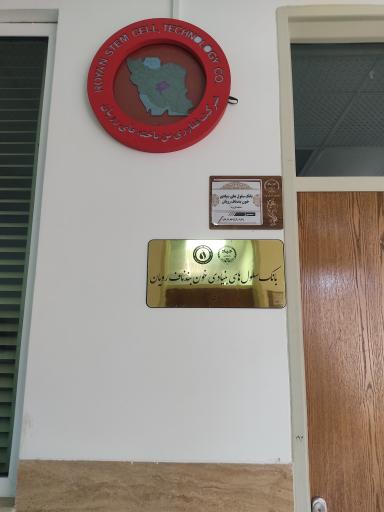 عکس بانک سلول های بنیادی خون بند ناف رویان