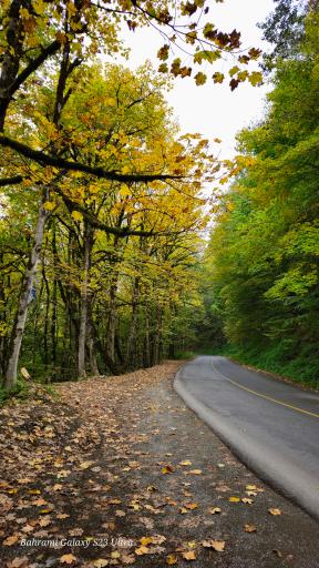 عکس گردنه اسالم به خلخال