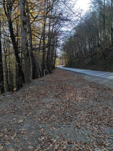 عکس گردنه اسالم به خلخال