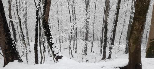 عکس گردنه اسالم به خلخال