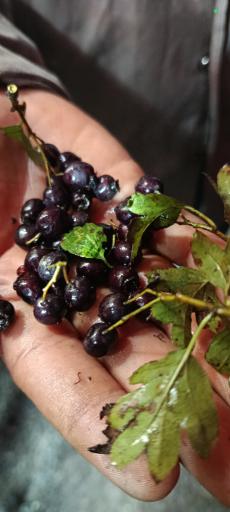 عکس گردنه اسالم به خلخال