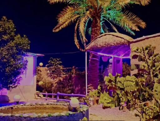 عکس کافه شبهای اروند